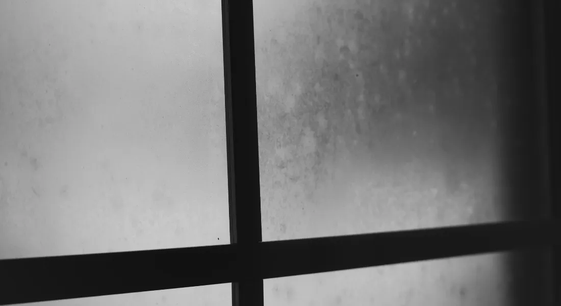 How Much Does It Cost To Defog A Window