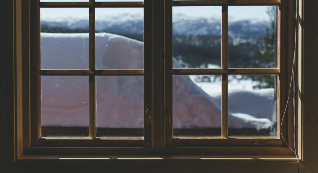 Window with internal grids showing cracked pane