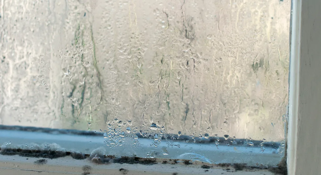 Window with visible water damage and peeling paint below sill