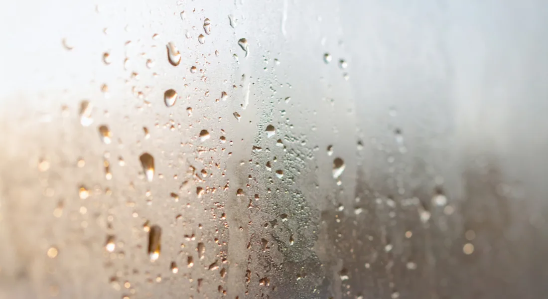 Fogged double pane window with condensation between the panes